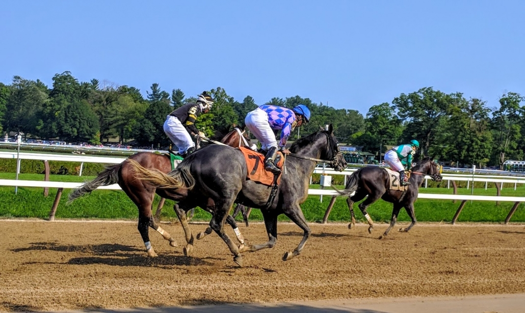 How to win in Thoroughbred Handicapping Tournaments