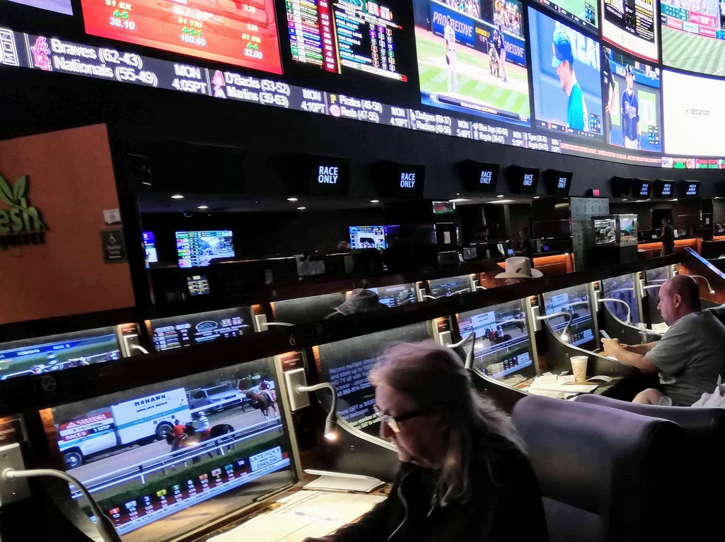 Should Handicappers Document Their Betting Record on a Sports Monitor?