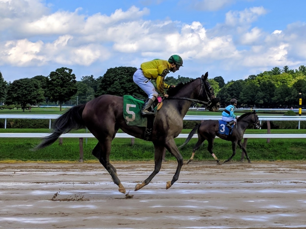 Muddy Conditions Can Favor Certain Horses