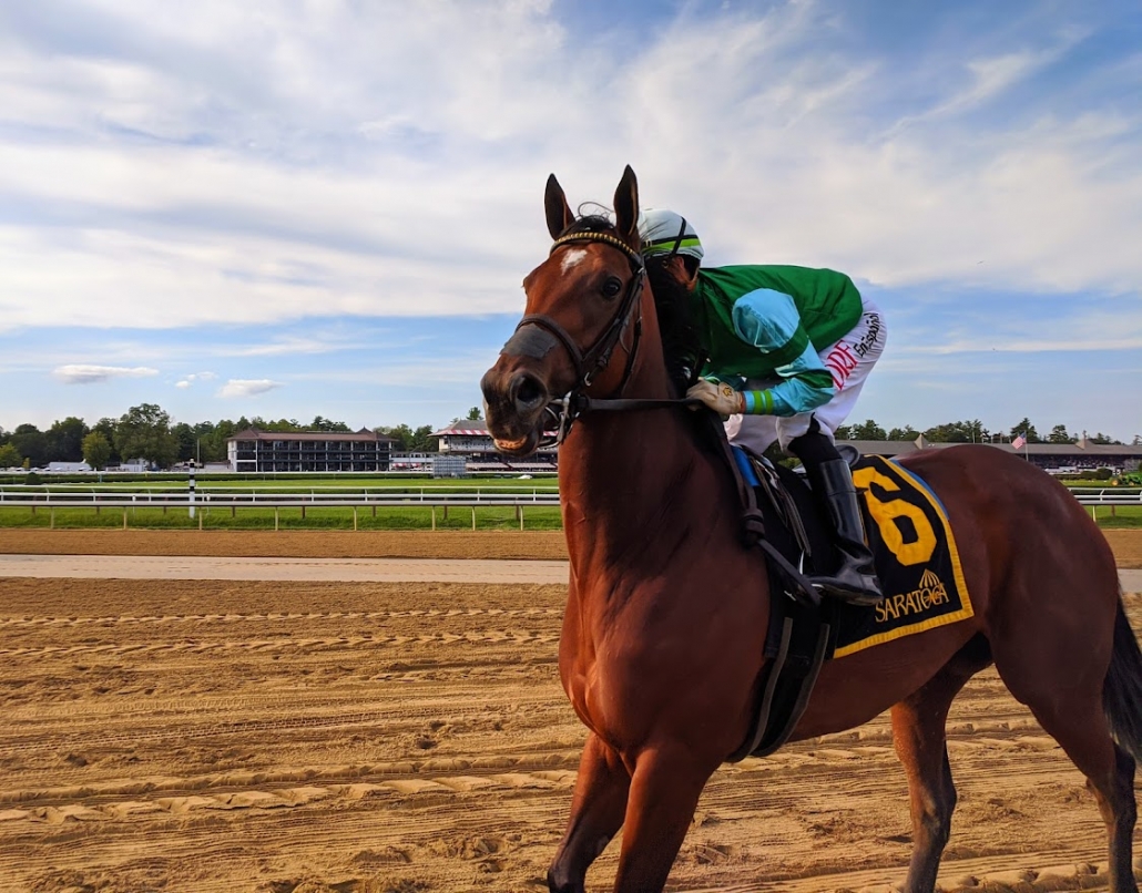 Horses Can Win Career-Level Purses at ‘Stakes’ Horse Races