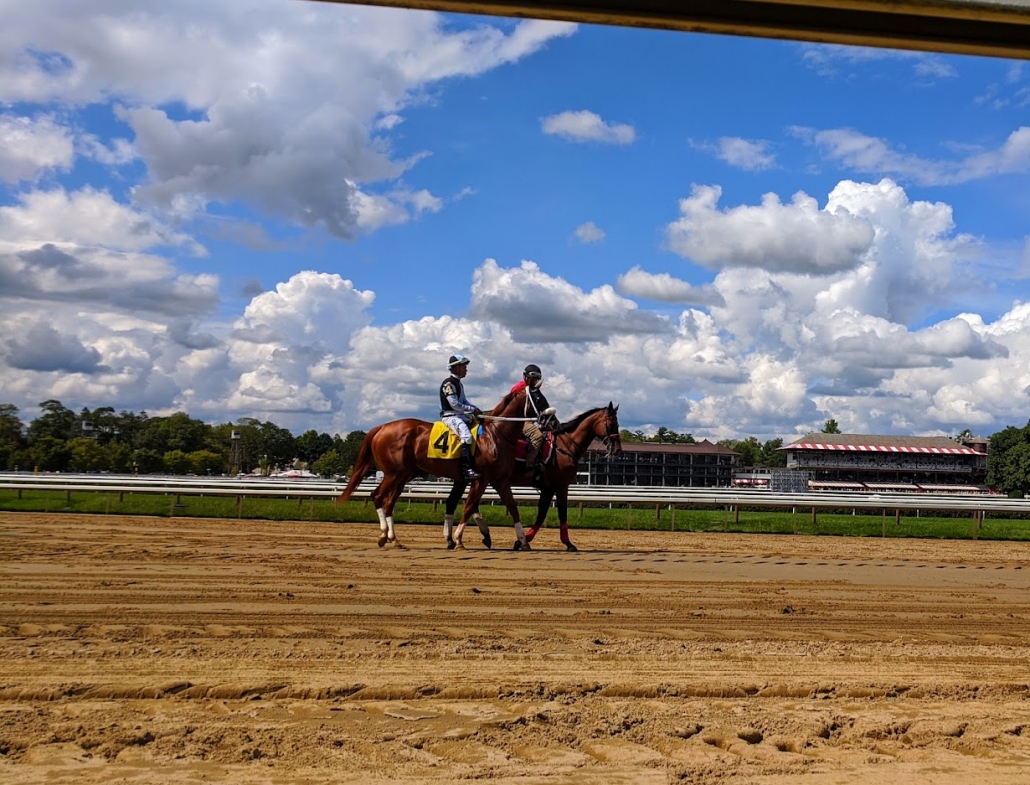 Skilled Horse Racing Bettors Bet Differently