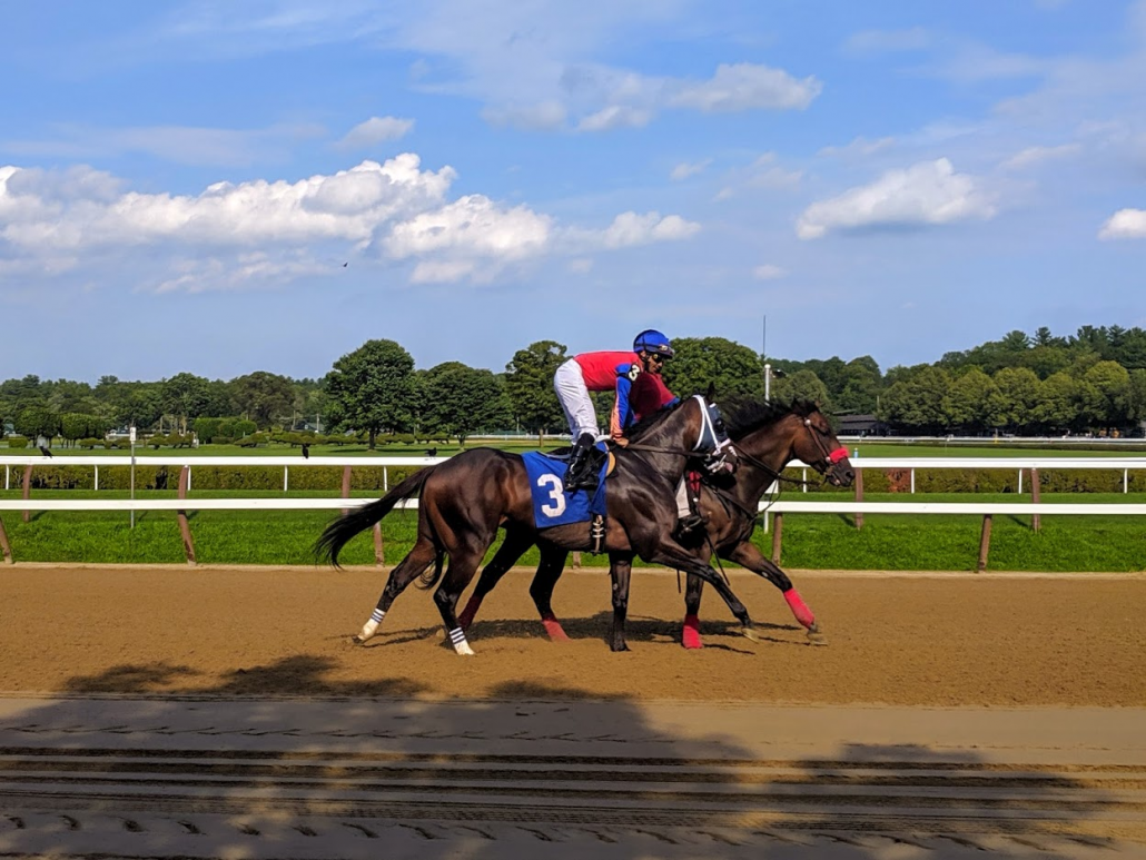 Win at Horse Racing by Matching Categories to Current Race Conditions