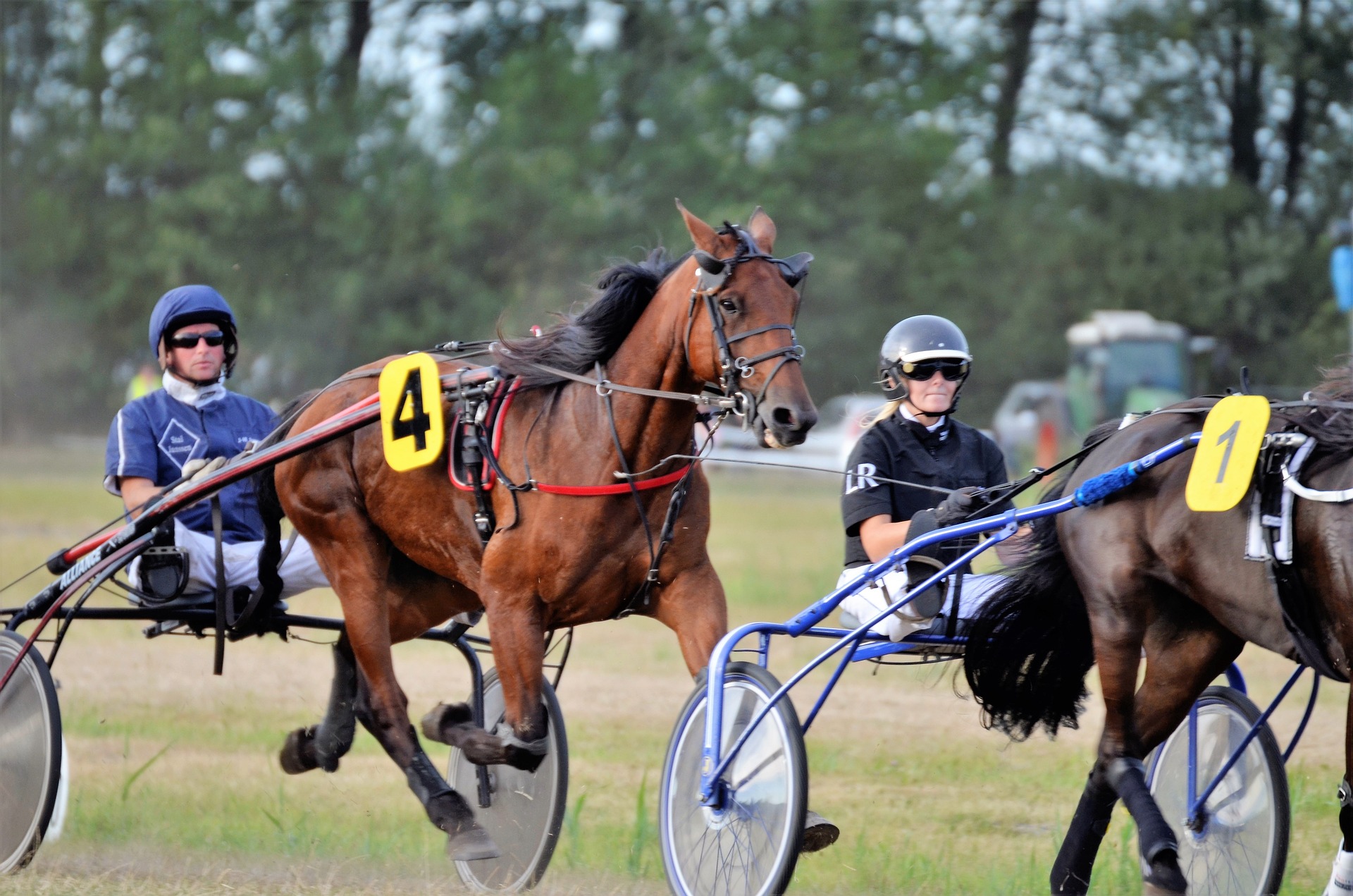 Harness Races Use Different type of Handicapping
